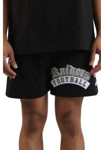 NFL Los Vegas Raiders Mesh Shorts 