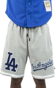 PRO STANDARD Los Angeles Dodgers x Mexico Short Sleeve Tee LLD1314488-DBL -  Karmaloop