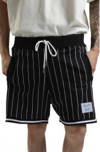 Branded Pinstripe Game Day 2.0 Shorts