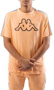 Logo Tape Avirec Tee