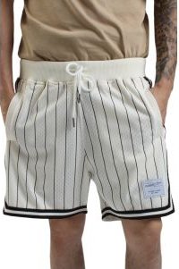Branded M&N Pinstripe Game Day 2.0 Shorts