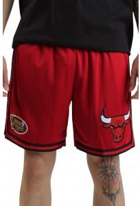NBA Chicago Bulls Overtime Mesh Shorts