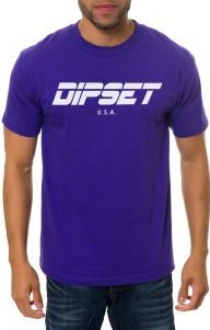 The Dipset USA Logo Tee in Purple