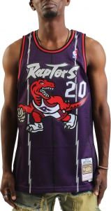 NBA Toronto Raptors Swingman Damon Stoudamire Damon Stoudamire Jersey