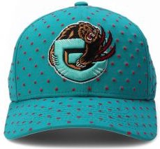 NBA Vancouver Grizzlies Polka Polka Pro Snapback 