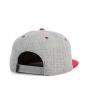 The Closer Snapback in Gray 2