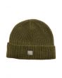 The Rebel Flag Pin Ribbed Beanie in Olive