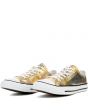 Unisex CTAS Metallic Canvas Sneaker 3