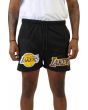 Los Angeles Lakers Mesh Short 1