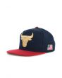 The Chicago Bulls 2 Tone Snapback Hat in Blue & Red 1