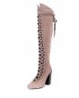 Jeffrey Campbell for Women: Leola-Hi Taupe Suede Tall Heel Boots 2