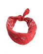 The Vintage Distressed Bandana in Red 1