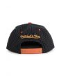 The Phoenix Suns Dotted Snapback in Black 4