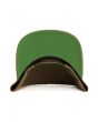 The Stencil Snapback in Green