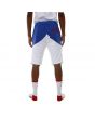 The Mitch Jogger Shorts in White, Blue and Red 7