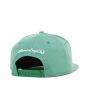 The Arch Blend Snapback Hat in Shale Green 2