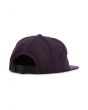 The Arched 2.0 Buckleback Unstructured Cap in Purple 3