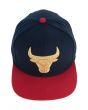 The Chicago Bulls 2 Tone Snapback Hat in Blue & Red 2