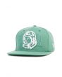 The Arch Blend Snapback Hat in Shale Green 1