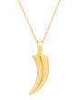 The Tiburon Necklace in Gold 1
