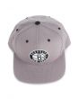 The Brooklyn Nets Dotted Snapback 2