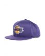 The Los Angeles Lakers Jersey Mesh Snapback 1