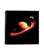 The Saturntable By Nicebleed Gallery Wrapped Canvas Print 26 x 26 in Multi