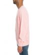 The Pigment Dye Crewneck Sweatshirt in Pink 2