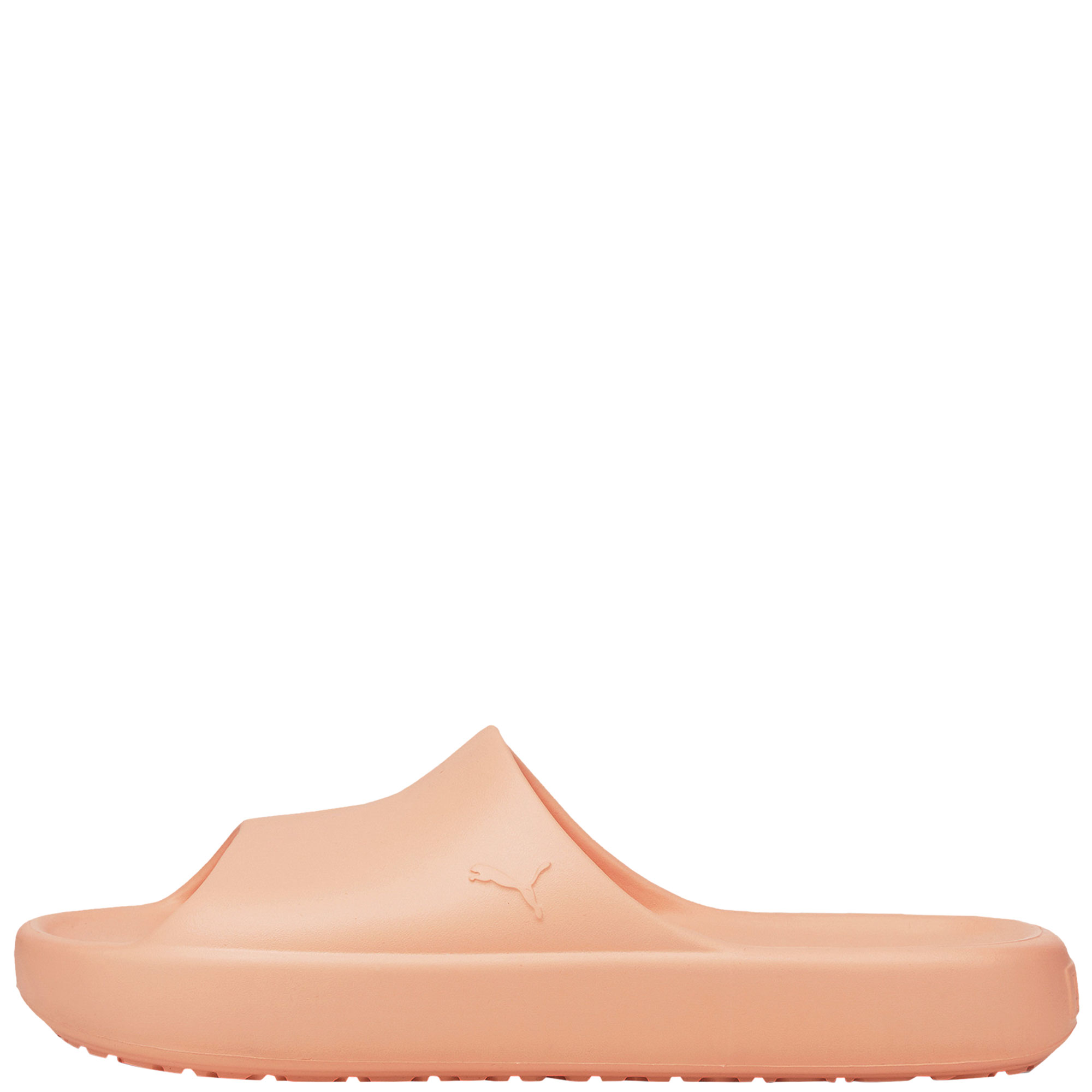 Shibui Cat Slides