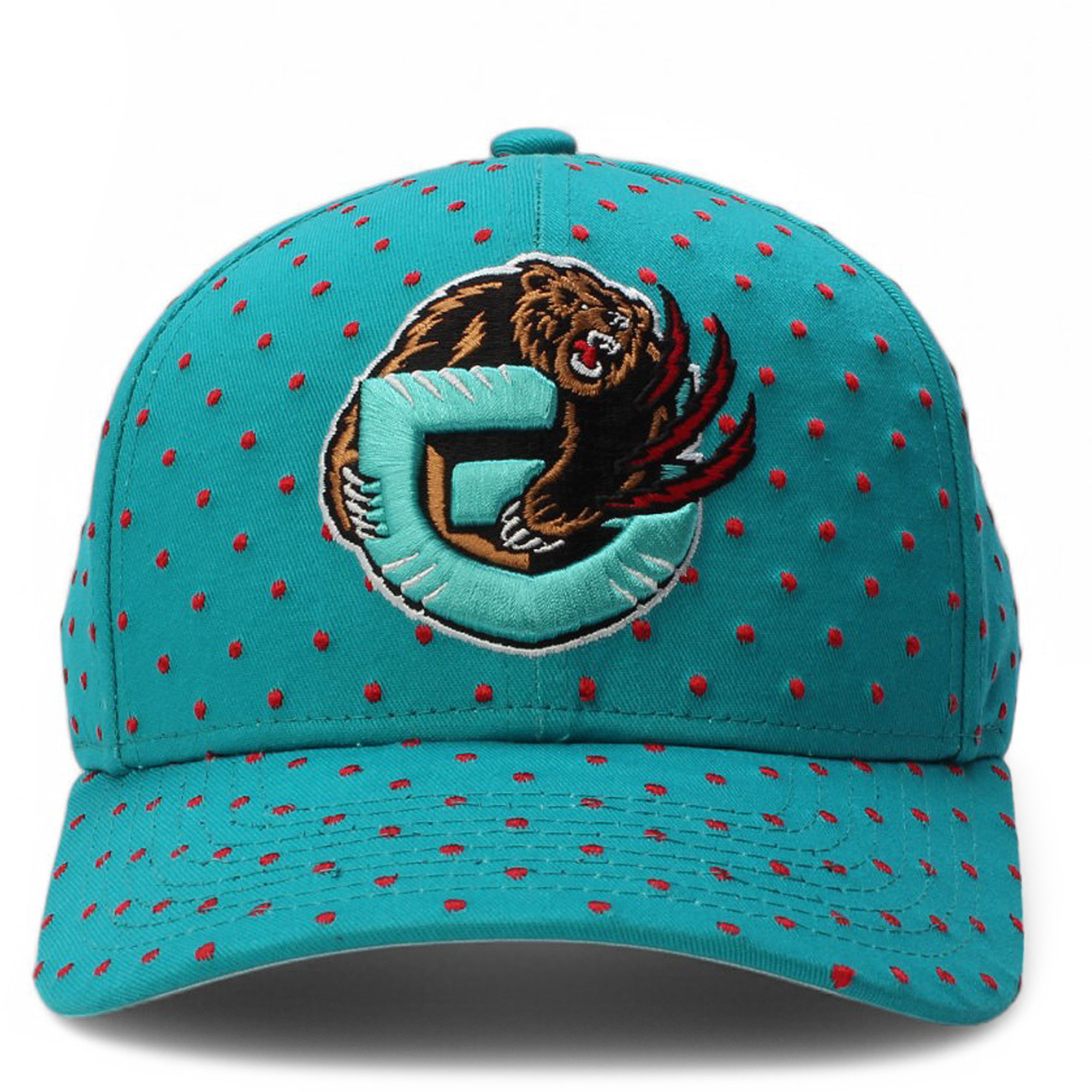 NBA Vancouver Grizzlies Polka Polka Pro Snapback